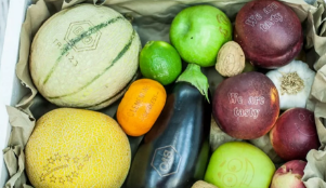 激光打標“可食用標簽”，引領食品安全新風向