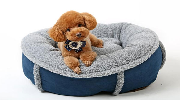 激光切割寵物用品，讓您的愛寵與眾不同